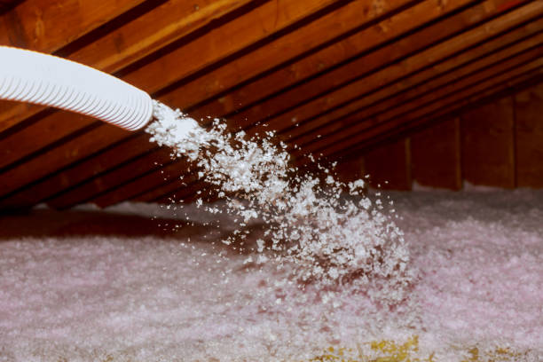 Best Specialty Insulation in Pahokee, FL
