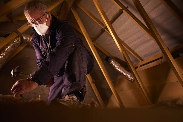 Best Residential Insulation in Pahokee, FL